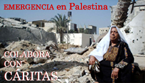 C�ritas con Palestina