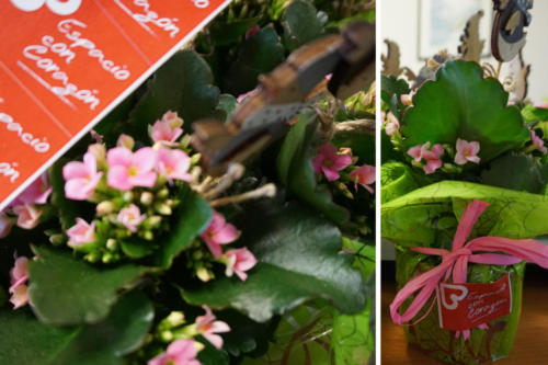 5 Aniversario_Agurain4