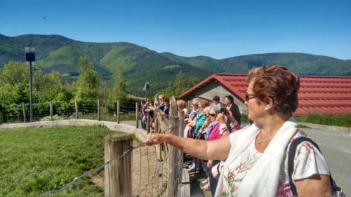 CFormacion Mayo 2019 4