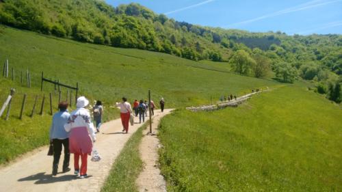 CFormacion Mayo 2019 5