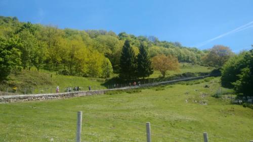 CFormacion Mayo 2019 6